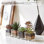 CONNOO 12 Pack 3" x 3" x 3" Clear Square Glass Vase for Centerpieces - Image 5