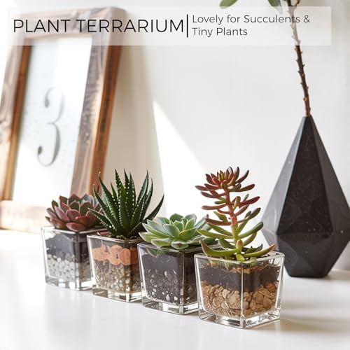 CONNOO 12 Pack 3" x 3" x 3" Clear Square Glass Vase for Centerpieces - Image 5