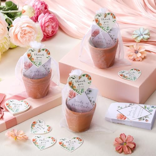 Ctosree 24 Sets Appreciation Gifts Thank You for All You Do Seed Packets Flowerpot Thanks Tags Organza Bags for Coworker Staff Employee Nurse Appreciation Gifts - Image 3