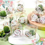 MTLEE 48 Sets Succulent Cactus Tealight Candles Wedding Favors Gift Boxed - Image 4
