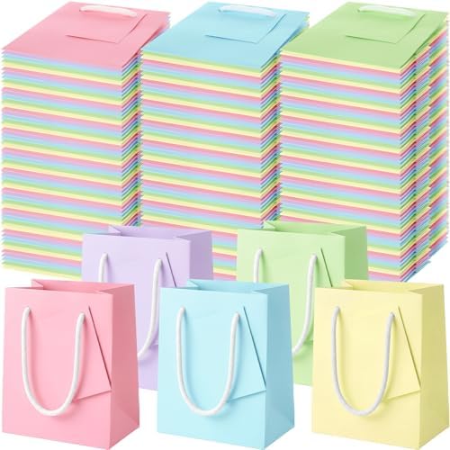 Sherr 100 Pcs Macaron Colors Mini Paper Gift Bags with Handles, White Tags by Sherr