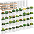 Shihanee 36 Pcs Succulent Cactus Tealight Candles by Shihanee