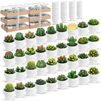 Shihanee 36 Pcs Succulent Cactus Tealight Candles by Shihanee