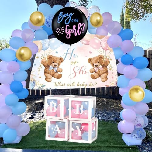 Gender Reveal Decorations Pink Blue Balloon Arch Garland Kit, Bear Theme, Baby Shower Party Pack With Balloon Boxes,Backdrop,Wood Table Sign,Tablecloth,...170PCS For Girl Boy Gender Reveal - Image 6