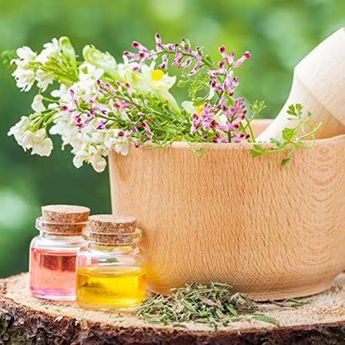 Patelai 48 Pcs Small Glass Bottles with Cork, 50 ml Vials Jars Mini Potion Bottles Empty Spell Jars Sand Art Decorative for DIY Sand Water Pill Party Supplies - Image 2