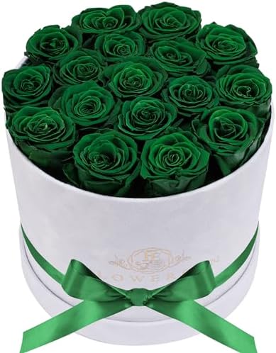 Prifroti 17 Flowers in a Luxury Suede Box, Birthday Gifts for Women, Preserved Flowers, Mothers Day Roses Gift for Mom, Dark Geen by Prifroti