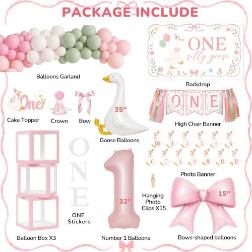Kriyokiaa One Silly Goose Birthday Decor Girl, Goose 1st Party Kit - Image 2