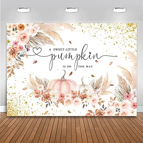 Mocsicka Pumpkin Backdrop for Girl Boy Autumn Fall Baby Shower Party Decorations Boho Blush Floral A Little Pumpkin is On The Way Baby Shower Cake Table Banner (Pink, 10x8ft(120''x96'')) by Mocsicka
