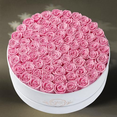 Prifroti 75 Preserved Roses in Suede Box – Luxury Rose Flower Arrangement, Preserved Flowers Gifts for Women, Wife or Mom – Birthday, Anniversary, Valentine’s Day, Mother's Day (Pink) - Image 6