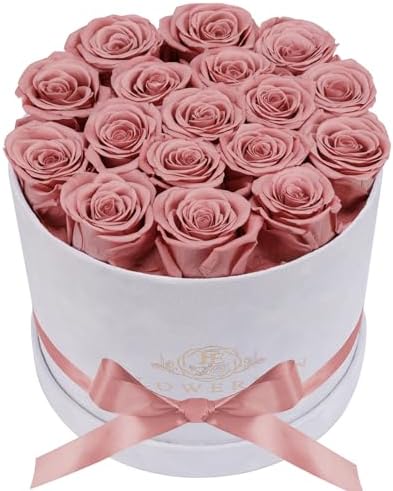 Prifroti 17 Flowers in a Luxury Suede Box, Birthday Gifts for Women, Preserved Flowers, Mothers Day Roses Gift for Mom, Dusty Rose by Prifroti