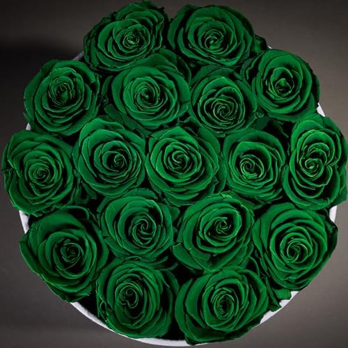 Prifroti 17 Flowers in a Luxury Suede Box, Birthday Gifts for Women, Preserved Flowers, Mothers Day Roses Gift for Mom, Dark Geen - Image 5