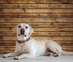 Wood Backdrop for Photoshoot Brown Wooden Panel Rustic Photo Background for Video Zoom Podcast Studio Office Wall Decor Baby Shower Birthday Wedding Party Banner Decorations Polyester Fabric 10x8ft - Image 6