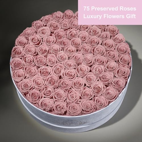 Prifroti 75 Preserved Roses in Suede Box – Luxury Rose Flower Arrangement, Preserved Flowers Gifts for Women, Wife or Mom – Birthday, Anniversary, Valentine’s Day, Mother's Day (Dusty Rose) - Image 3