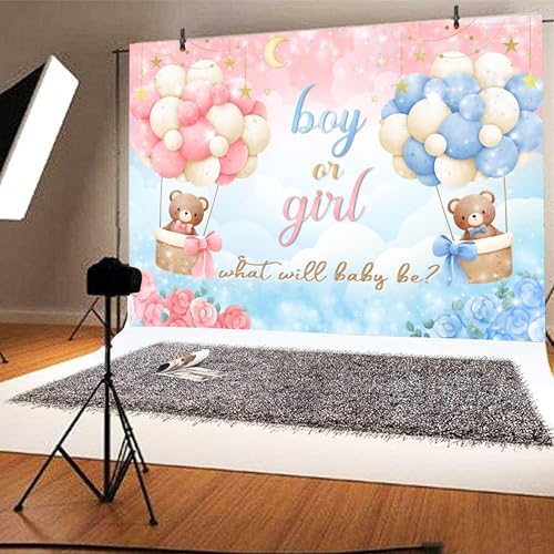 10x10 FT Gender Reveal Backdrop Blue Pink Bear Boy or Girl Background Sign Decorations Banner New Born Baby Shower Baptism Kids Birthday Party Photo Shoot Supplies Polyester - Image 3