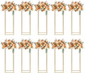 10PCS Wedding Flower Stand, Vases Rack for Birthday Party Decoration Garden Tall Flower Frame Holder for Table Centerpiece Balloon Decor Road Leads Christmas Gift-Gold by LIYUANJUN