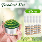 Shihanee 48 Pcs Bulk Succulent Candles Decorative Cactus Tealight Candles Handmade Mini Terracotta Clay Holders House Warming Wedding Baby Shower Spa Mexican Coworkers Teacher Birthday Gifts(White) - Image 2