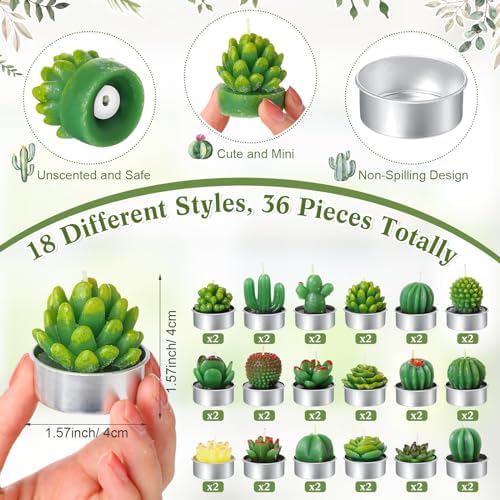 Mtlee 36 Sets Baby Shower Favors for Guest, Succulent Candle Bulk, Cactus - Image 3