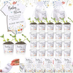 Hushee 151 Pcs Wildflower Baby in Bloom Favors Baby Shower Decorations by Hushee