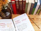 Suck UK | My Book Reviews Journal | Reading Journal | Book Review Notebook | Reading Log Book With Templates | Book Tracker Journal 80+ Reviews | Hardcover Reading Diary | Gifts For Readers - Image 5