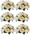 NUPTIO Flower Balls Wedding Table Centerpieces, Peachy Champagne & White by Nuptio