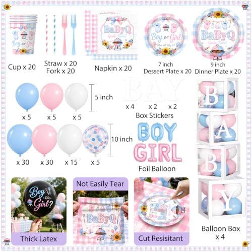 Baby Q Gender Reveal Decorations, Pink Blue Gingham BBQ Gender Reveal Decor - Image 4