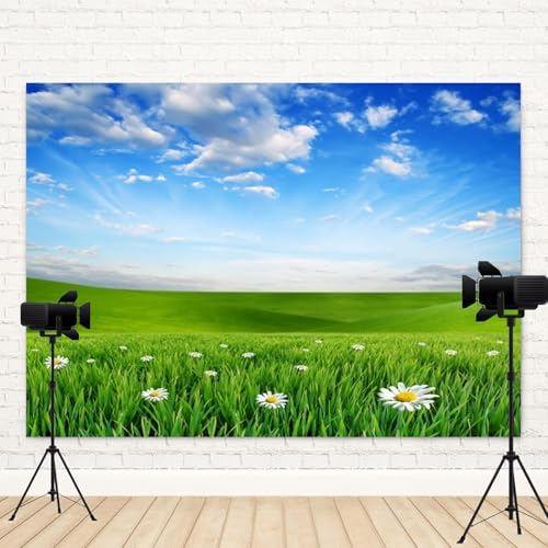 10x5ft Spring Backdrop Grassland Landscape Daisy Flowers Photography Background Green Grass Blue Sky Nature Scenery Kid Birthday Banner Decorations Baby Shower Portrait Photo Booth Prop - Image 4