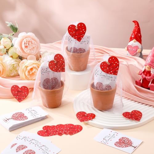 Ctosree 24 Sets Valentine Seed Packet Party Favors with Pots Bags Tags - Image 3