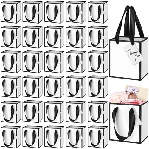 Yeaqee 100 Pcs Mini Paper Gift Bags with Handles Tag, White,Black by Yeaqee
