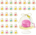 24 x Mini Cake Domes Alice in Wonderland Tea Party Decorations Set Whimsical Party Favors, Mad Hatter Macaron Table Props Kids Birthdays Bridal Showers Baby Shower Decor Bridgerton Wedding favour by TalkingTables
