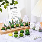 Mtlee 36 Sets Baby Shower Favors for Guest, Succulent Candle Bulk, Cactus - Image 5