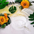 WDF 25 Guest Clear Plastic Plates with Disposable Plastic Silverware - Plastic Plates and Cups for Party include 25 Dinner Clear Plates, 25Salad Plates, 25Forks, 25Knives, 25 Spoons, 25Cups - Image 7
