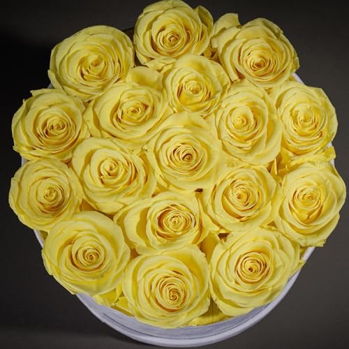 Prifroti 17 Flowers in a Luxury Suede Box, Birthday Gifts for Women, Preserved Flowers, Mothers Day Roses Gift for Mom, Yellow - Image 6