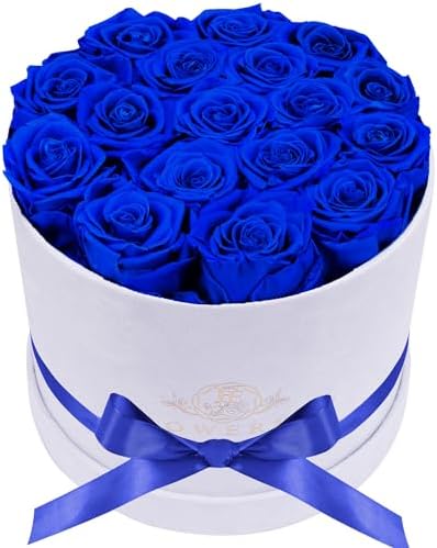 Prifroti 17 Flowers in a Luxury Suede Box, Birthday Gifts for Women, Preserved Flowers, Mothers Day Roses Gift for Mom, Royal Blue by Prifroti