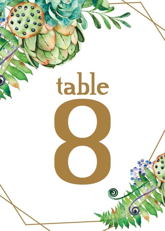 Succulent Design Table Number Cards Double Sided Party Table Numbers for Reception Baby Shower Anniversary Birthday Bridal Party 5x7 100 Pcs by Unknown