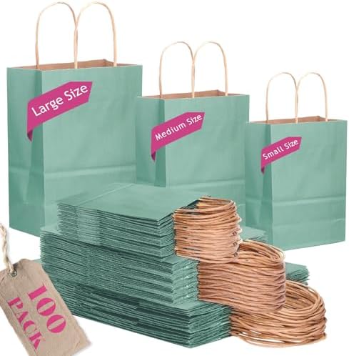 qiqee 100PCS Gift Bag with Handles Bulk Kraft Light Blue Paper Bags Assorted Sizes(33pcs Large 13",33pcs Medium 11",34pcs Small 8") by Qiqee
