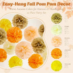 allydrew Fall Pom Pom Party Decorations for Autumn, Harvest, Thanksgiving, Weddings, Birthdays, Baby Showers (Set of 22) - Image 2