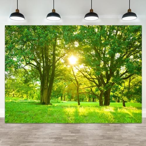 10x5ft Spring Backdrop Green Forest Sunshine Photography Background Jungle Trees Grass Field Nature Scenery Kids Birthday Baby Shower Banner Decorations Wedding Portrait Photo Booth Prop by ASDCXZ