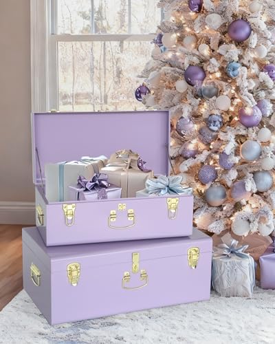 Vixdonos Storage Trunk Chest Decorative Large Metal Box Set of 2 College Dorm Organizer with Hardware Hasps and Handle for Home Deocr,23.7X14.2X9.5 Inches - Image 4