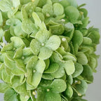 ZYTUYO 2PCS White & 2PCS Green Fake Hydrangea Real Touch 20" Latex Artificial Hydrangea Flowers with Long Stems for Outdoor Indoor Spring Home Decor Porch Party Wedding Xmas Floral Arrangements - Image 3