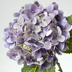 ZYTUYO 4 Pcs 20'' Gray Purple Real Touch Hydrangea Artificial Flowers Vintage Lifelike Latex Hydrangeas Long Stem for Boho Home Decor Porch Outdoor Wedding Kitchen Xmas Table Centrepiece - Image 5