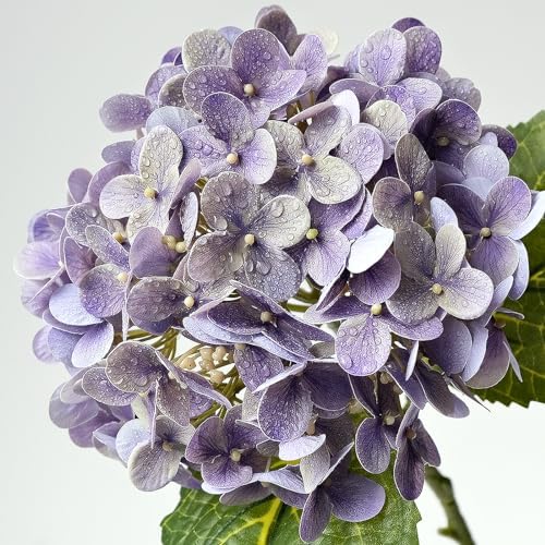 ZYTUYO 4 Pcs 20'' Gray Purple Real Touch Hydrangea Artificial Flowers Vintage Lifelike Latex Hydrangeas Long Stem for Boho Home Decor Porch Outdoor Wedding Kitchen Xmas Table Centrepiece - Image 5