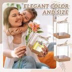 36 Set 3.5x3.5x4 in Candle Gift Package Transparent, Brown, 24 Set - Image 6