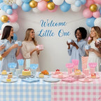 Funnymoom 452 Pcs Gender Reveal Gingham Party Decoration for 50, Pink and Blue Gingham Checkered Paper Plates Napkins Cups Tablecloth Cutlery Straws for Gender Reveal Baby Shower Party Supplies - Image 4