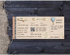 Baby Shower Ticket Invitation, Boarding Pass Ticket, Plane TicketPrintable Invitation, Digital Download, Diaper Raffle, Travel Invitation - Image 2