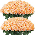 Auihiay 60PCS Artificial Roses, Champagne Roses, Velvet Silk Roses by Auihiay