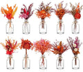 Nuanchu 10 Pcs Fall Dried Flowers Bouquet Boho, 10 Glass Vase, Rope by Nuanchu