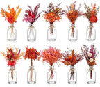 Nuanchu 10 Pcs Fall Dried Flowers Bouquet Boho, 10 Glass Vase, Rope by Nuanchu