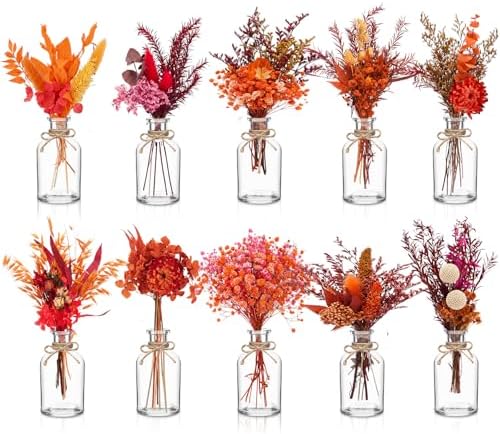 Nuanchu 10 Pcs Fall Dried Flowers Bouquet Boho, 10 Glass Vase, Rope by Nuanchu