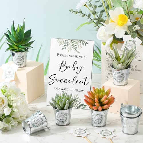 Fulmoon 151 Pcs Baby Shower Favors for Guests Include 1 Greenery Sign 50 Watch Baby Grow Succulent Tags 50 Small Metal Bucket with 50 Succulent Stickers for Guests - Image 5