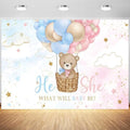 8x6ft Gender Reveal Backdrop He or She Pink or Blue Balloons Photography Background Boy or Girl Baby Bear Gender Reveal Party Banner Decorations Supplies Photo Booth Props by Tranhiafe